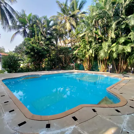 Opulence Boutique Resort Alibaug-3